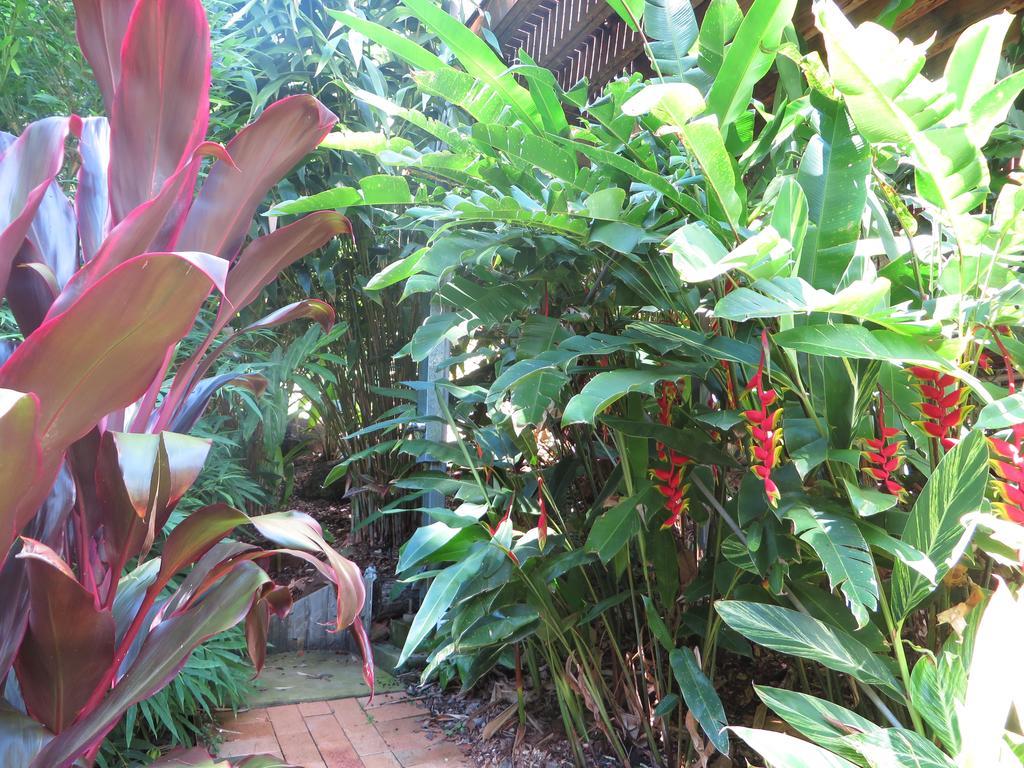 Babbling Brook Retreat Villa Limpinwood Ngoại thất bức ảnh
